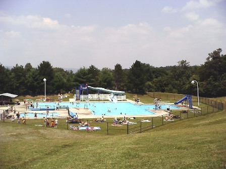 How to Plan a Team Outing in 2023 | I Fashion Styles