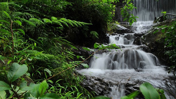 15 Incredible Waterfalls in Kerala and Their Highlights | I Fashion Styles
