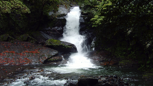 15 Incredible Waterfalls in Kerala and Their Highlights | I Fashion Styles