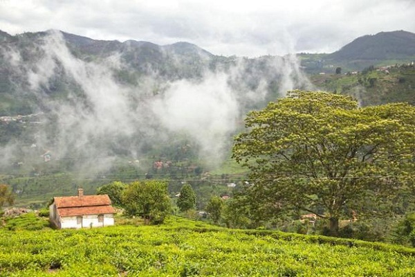 Top 30 Famous Hill Stations in India For an Enjoyable Vacation