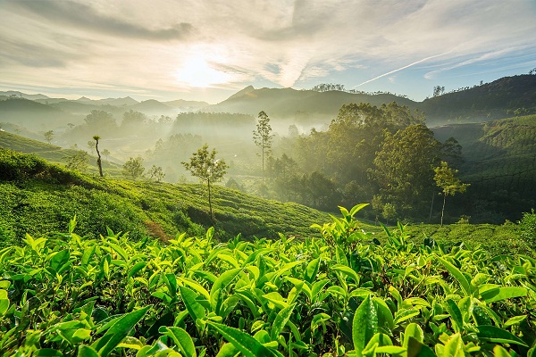 Top 30 Famous Hill Stations in India For an Enjoyable Vacation