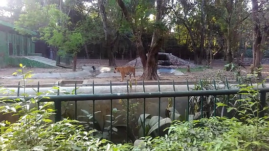 20 List of Famous Botanical Gardens in India with Images - I Fashion Styles