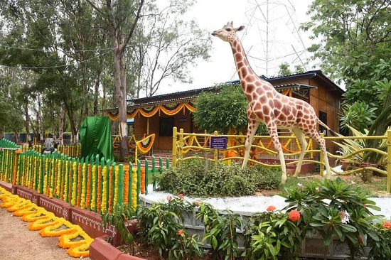 20 List of Famous Botanical Gardens in India with Images - I Fashion Styles