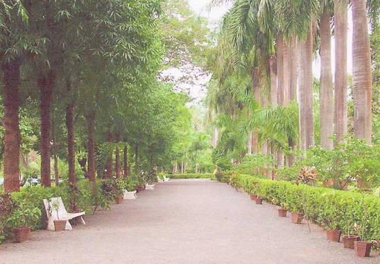 20 List of Famous Botanical Gardens in India with Images - I Fashion Styles