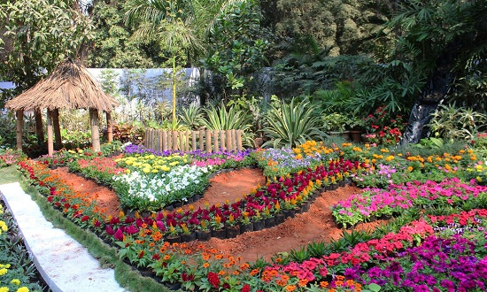 20 List of Famous Botanical Gardens in India with Images - I Fashion Styles