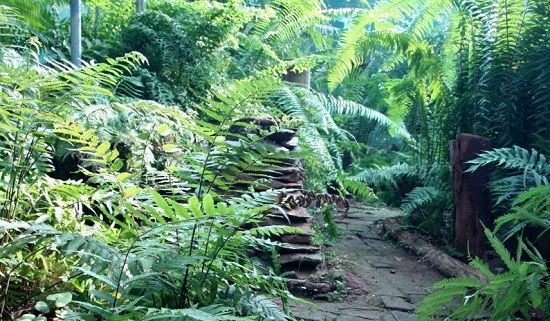 20 List of Famous Botanical Gardens in India with Images - I Fashion Styles