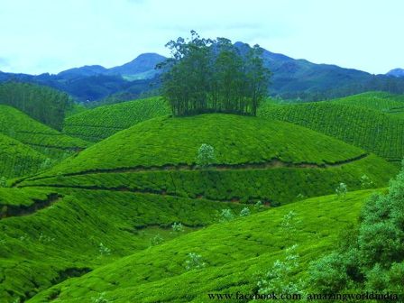 9 Best Scenic Places in Kerala | I Fashion Styles