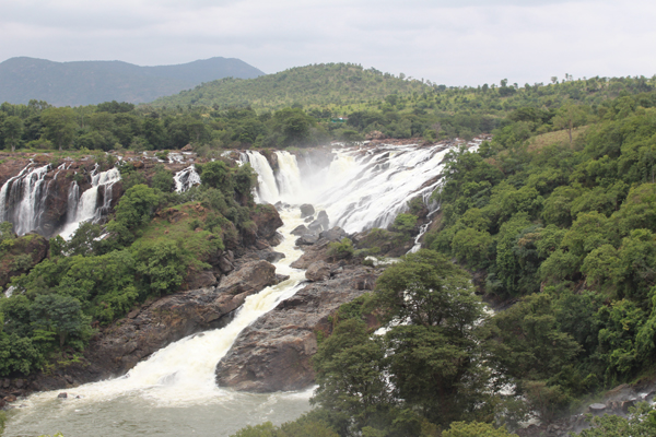 Top 20 Most Beautiful Waterfalls in India to See and Experience