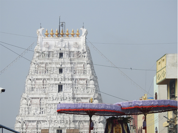 12 Famous and Ancient Temples To Visit In Tirupati 2023