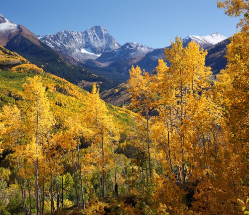 15 Best And Cheap Honeymoon Destinations Within 1-2 Lakh Budget