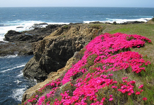 15 Best And Cheap Honeymoon Destinations Within 1-2 Lakh Budget