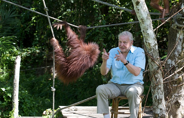 20 Best Tourist Places To Visit In Malaysia | I Fashion Styles