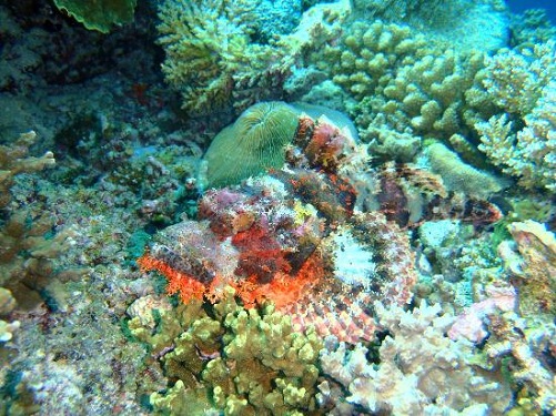 9 Best Romantic Places in Maldives for Honeymoon | I Fashion Styles