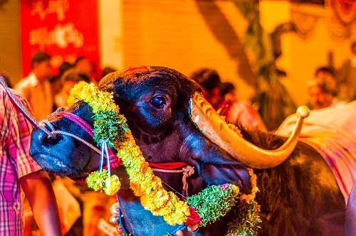 18 Famous Telangana Fairs and Festivals Names List 2025