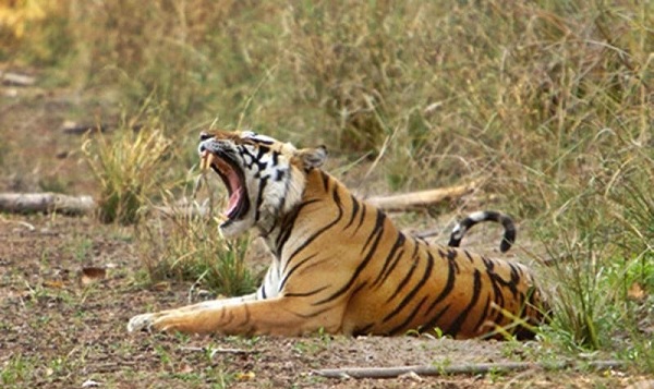 9 Most Mesmerizing Honeymoon Places In Telangana | I Fashion Styles