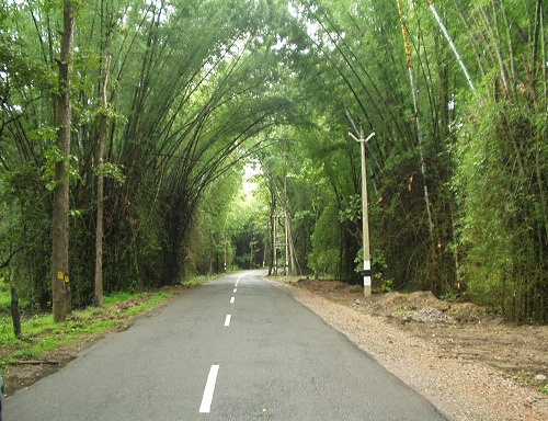 15 Best Honeymoon Places in South India To Visit in 2023 (+ FAQs)