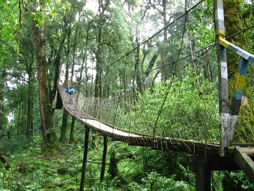 9 Best Honeymoon Places in West Bengal with Your Sweet Heart