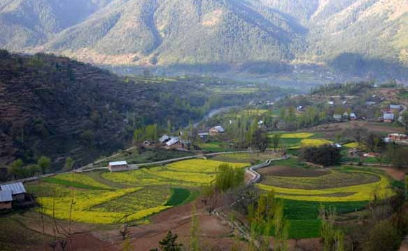 8 Famous Honeymoon Places in Kashmir with Pictures | I Fashion Styles