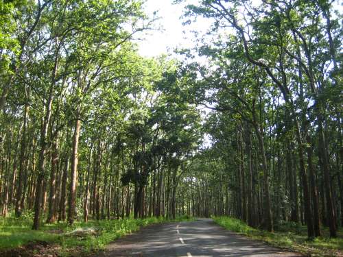 9 Best Honeymoon Places in Jharkhand For Newly Married Couples