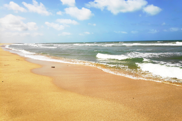 10+ Most Beautiful Beaches in Gujarat with Pictures | I Fashion Styles