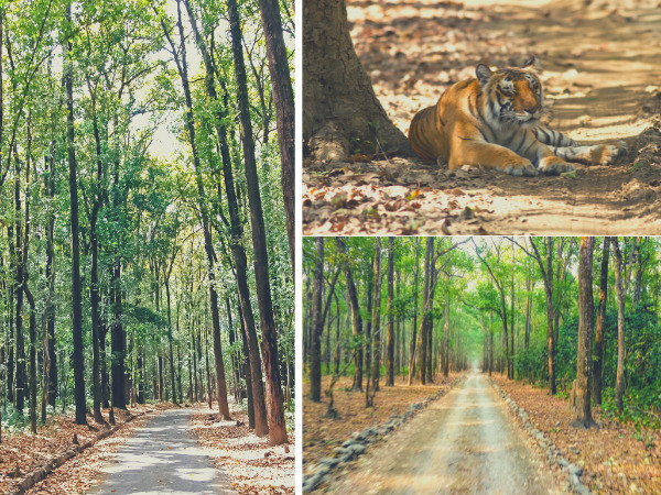 9 Best Places to Visit in March in India for Honeymoon