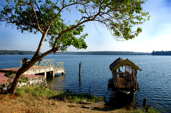 6 Exotic Places in Kerala for a Memorable Honeymoon