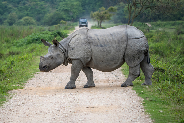 8 Best Assam Tourist Places to Visit | I Fashion Styles