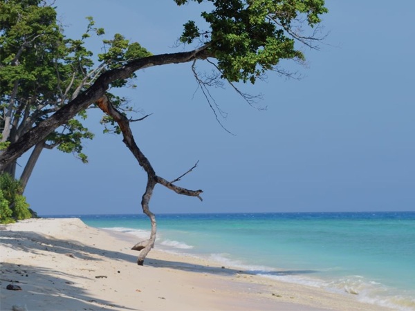 9 Best Beaches In Andaman and Nicobar Islands