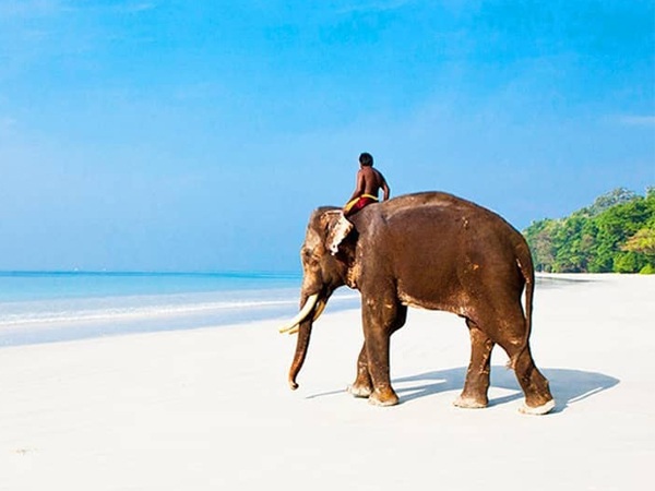 9 Best Beaches In Andaman and Nicobar Islands