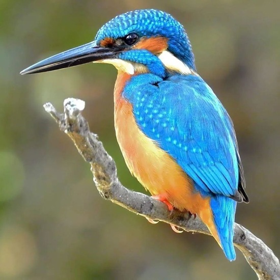 9 Perfect Honeymoon places in Odisha for Newlyweds | I Fashion Styles