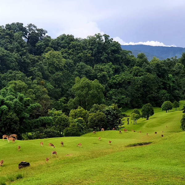 10 Amazing and Famous Tourist Places to Visit in Kathmandu