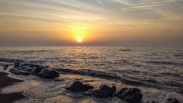 9 Best Places to Visit in India for Honeymoon in January 2024