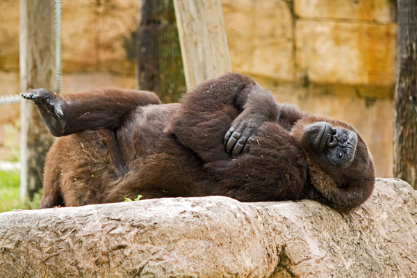 Texas Tourist Attractions: 30 Best Places to Vacation