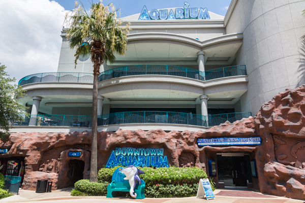 Texas Tourist Attractions: 30 Best Places to Vacation