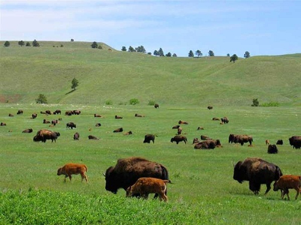 9 Most Stunning Honeymoon Places in Hyderabad | I Fashion Styles