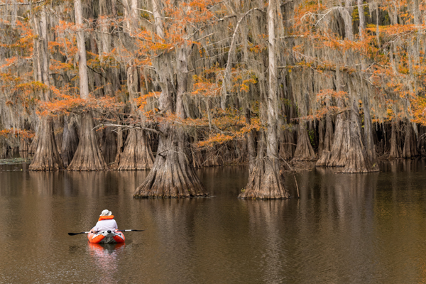 Top 10 Cool Places to Visit in Louisiana