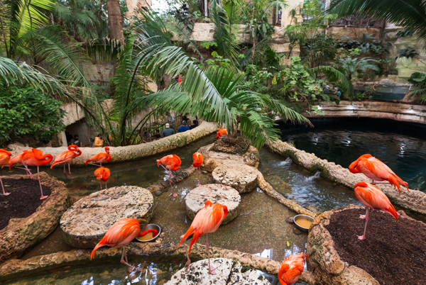 Top 10 Tourist Attractions in Dallas, Texas | I Fashion Styles