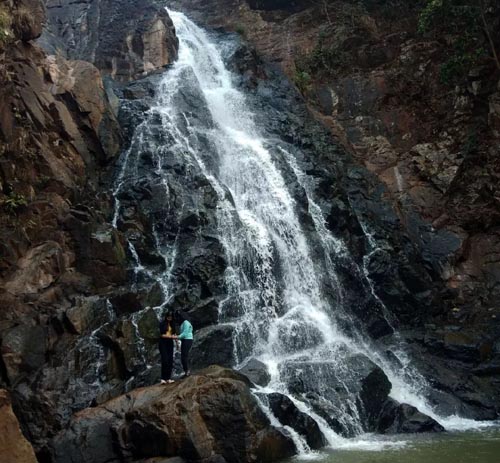 20 Pristine National Parks That Define Natural Splendor in India