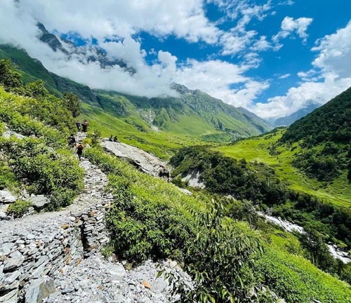 20 Pristine National Parks That Define Natural Splendor in India