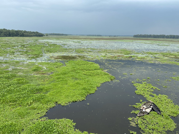 Top 15 Famous Bird Sanctuaries In India Are A Must Visit
