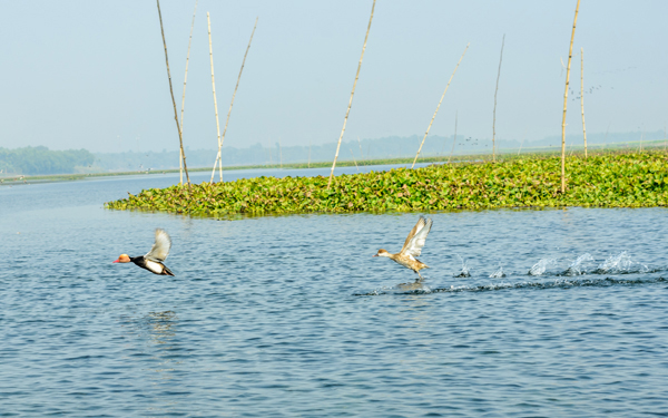 19 Famous Wildlife Sanctuaries in India to visit in 2025