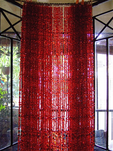15 Latest and Beautiful Beaded Curtains for Home | I Fashion Styles
