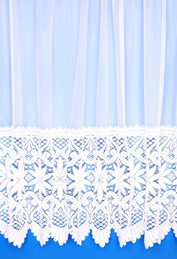 15 Nice Looking Net Curtains With Pictures | I Fashion Styles