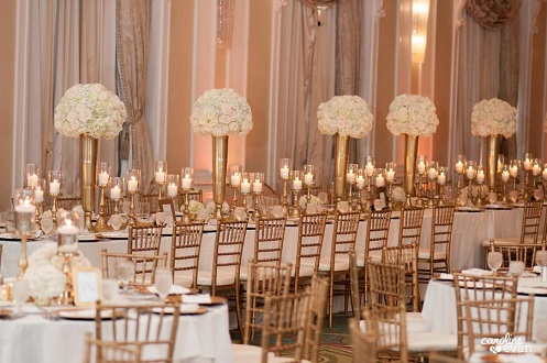 9 Best Royal Chiavari Chairs With Images | I Fashion Styles