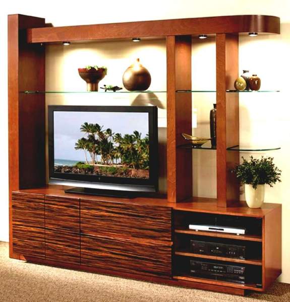 10 Latest TV Showcase Designs With Pictures In 2025