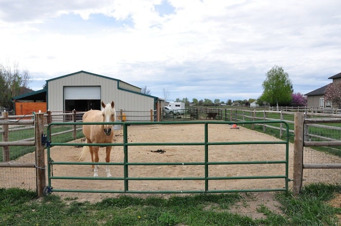 10 Best Farm Gate Designs With Pictures In India | I Fashion Styles