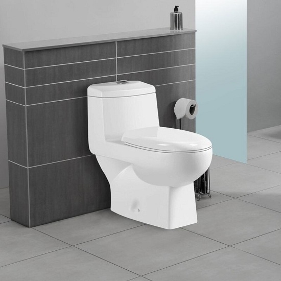 Top 15 Toilet Designs for Your Bathroom With Pictures