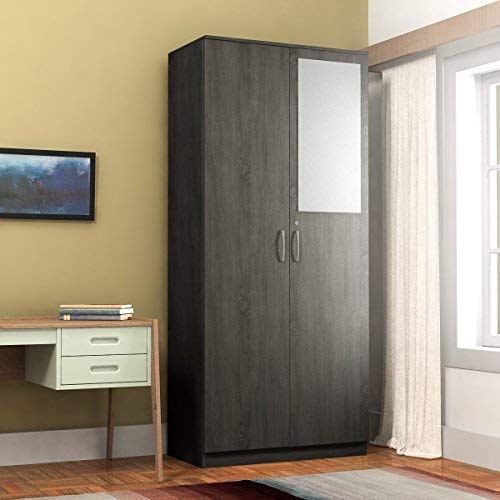 10 Best 2 Door Wardrobe Designs With Pictures In India