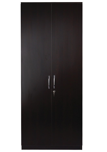 10 Best 2 Door Wardrobe Designs With Pictures In India