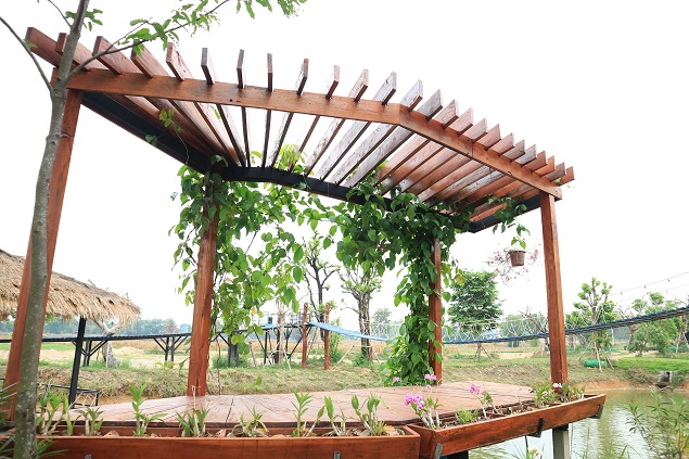20 Latest Pergola Designs For Home In 2024